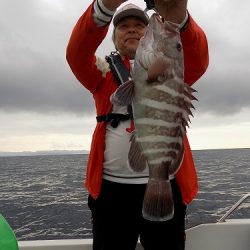 フィッシングボート空風（そらかぜ） 釣果