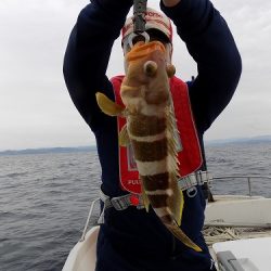 フィッシングボート空風（そらかぜ） 釣果