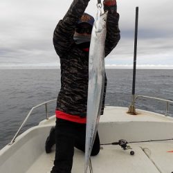 フィッシングボート空風（そらかぜ） 釣果