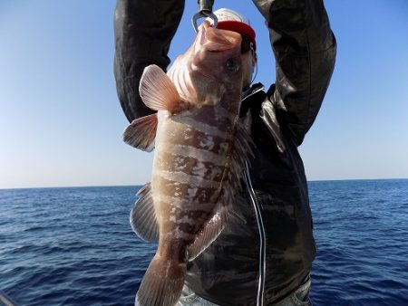 フィッシングボート空風（そらかぜ） 釣果