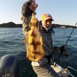 フィッシングボート空風（そらかぜ） 釣果