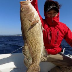 フィッシングボート空風（そらかぜ） 釣果