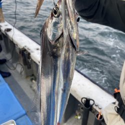 夢丸 釣果