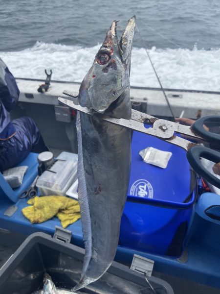 夢丸 釣果