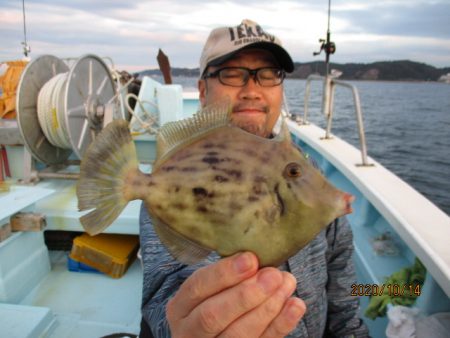 まとばや 釣果