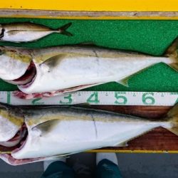 火遠理丸（ほおりまる） 釣果