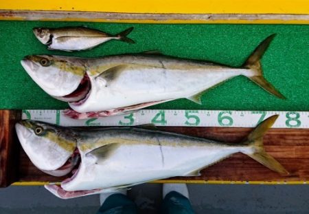 火遠理丸（ほおりまる） 釣果