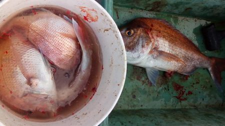 弘福丸 釣果