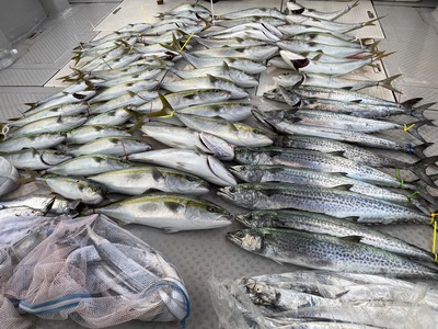 ミタチ丸 釣果