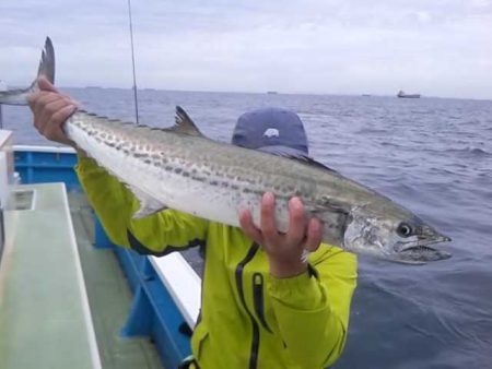 さわ浦丸 釣果