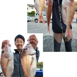 桑田観光 釣果