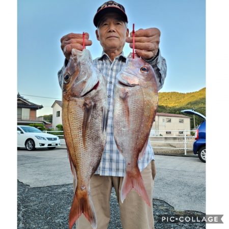 桑田観光 釣果