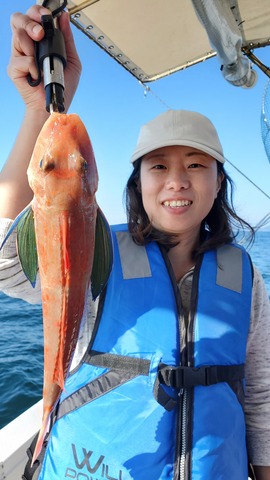 遊漁船　ニライカナイ 釣果