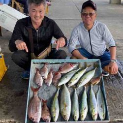 明神釣船 釣果