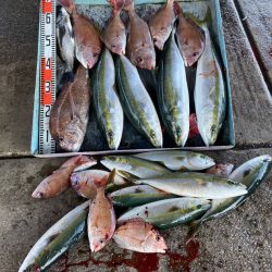 明神釣船 釣果