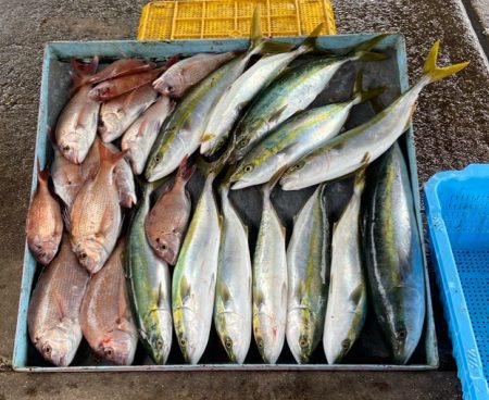 明神釣船 釣果