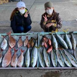 明神釣船 釣果