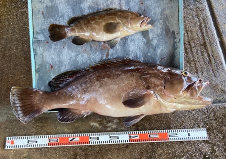 明神釣船 釣果