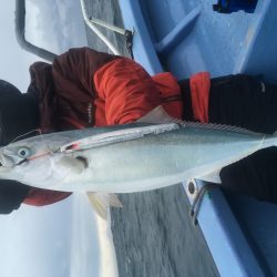 松鶴丸 釣果