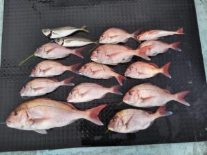 東京湾探釣隊ぼっち 釣果