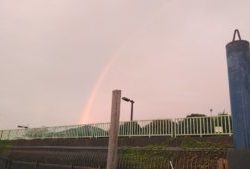 東京湾探釣隊ぼっち 釣果