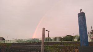 東京湾探釣隊ぼっち 釣果