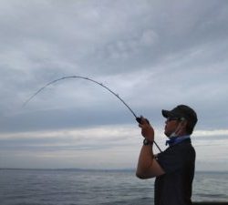 東京湾探釣隊ぼっち 釣果