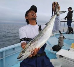 東京湾探釣隊ぼっち 釣果