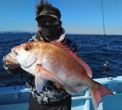 東京湾探釣隊ぼっち 釣果