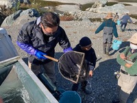 秩父フライフィールド 釣果