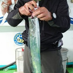 小島丸 釣果