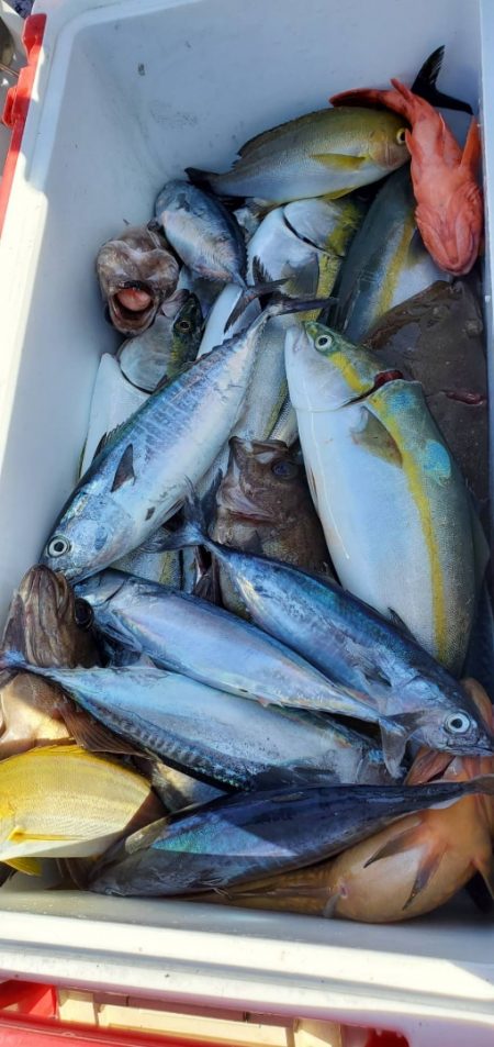 海龍丸（石川） 釣果