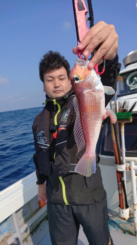 だて丸 釣果