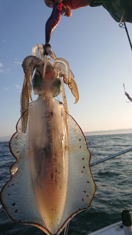 シースナイパー海龍 釣果