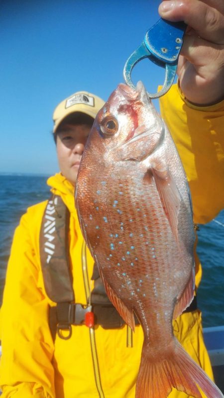 新幸丸 釣果