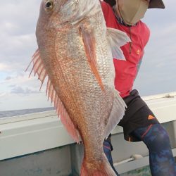 だて丸 釣果