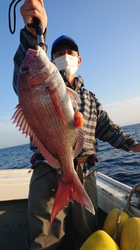 だて丸 釣果