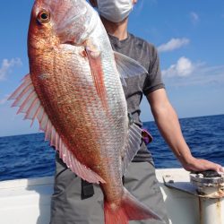 だて丸 釣果