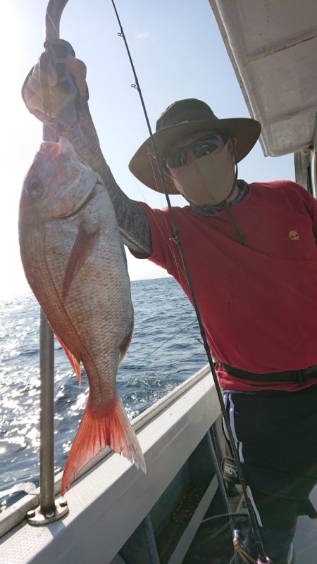 だて丸 釣果