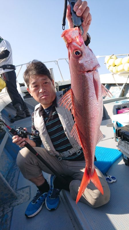 だて丸 釣果