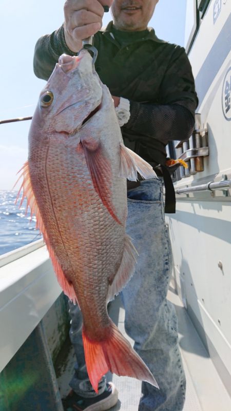 だて丸 釣果