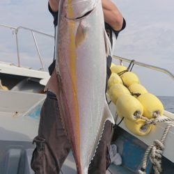 だて丸 釣果