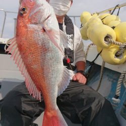 だて丸 釣果