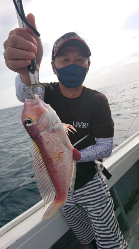 だて丸 釣果