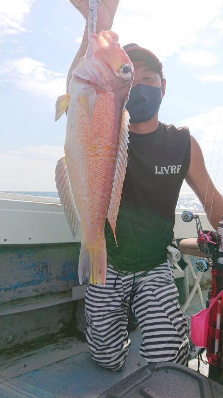 だて丸 釣果