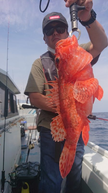 だて丸 釣果