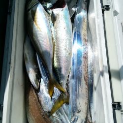 小島丸 釣果