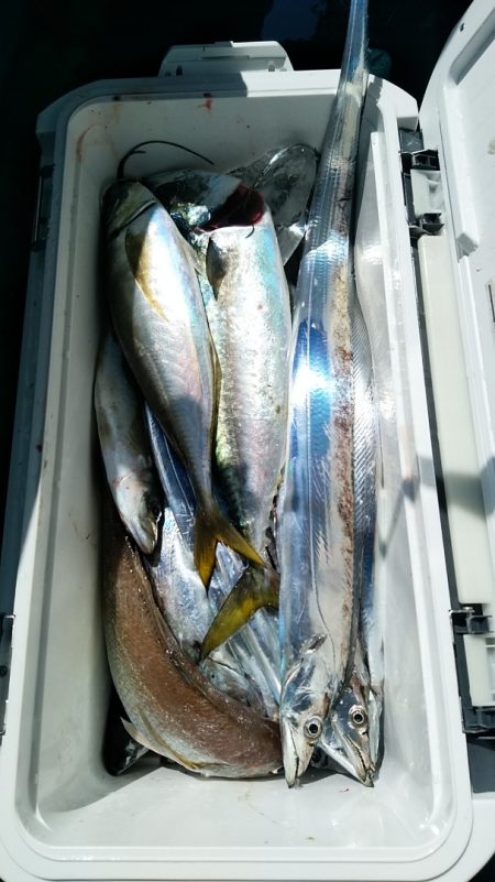 小島丸 釣果