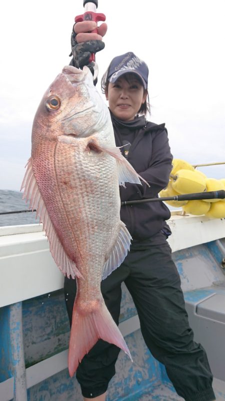 だて丸 釣果