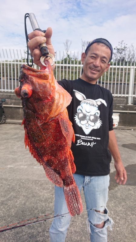 だて丸 釣果